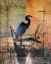 Blue Heron