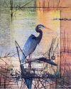 Blue Heron
