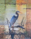 Blue Heron