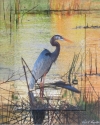 Blue Heron