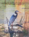 Blue Heron
