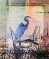 Blue Heron  30 X 36