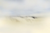 Dreamy Dunes