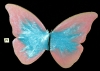 Butterfly #14