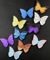 Butterflies An Installation of 10