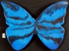 Butterfly #7