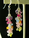 Long Crystal Earrings