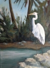 Egret in waiting