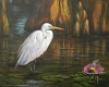 Great Egret