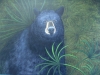 Florida Black Bear