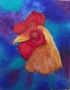 The Rooster
