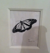 India Ink Butterfly