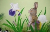 Bunny Mural