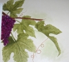 Grape vine mural