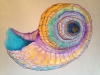 My Colorful Nautilus