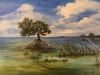 Mangrove Study