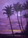 After the Storm, Queen Palms