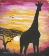 Giraffe Alone at Dusk