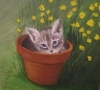 Kitty in a Flower Pot