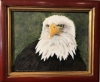 The Majestic Eagle