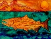 Swimming Wild...tribute to the Alaskan Salmon and Midnight Sun