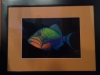 Diva Mia - Trigger Fish-2