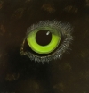 Eye of the Panther- GICLEE<(1)>  (original Sold)