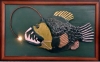 ANGLER FISH
