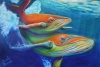SAVE THE WHALES  -SOLD