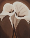 Dancing Calla Lilies 